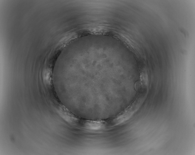 X0000111530671200907141529