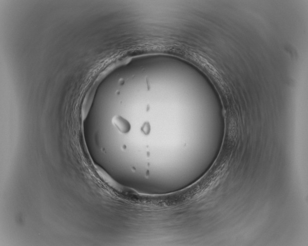 X0000111530673200907141529