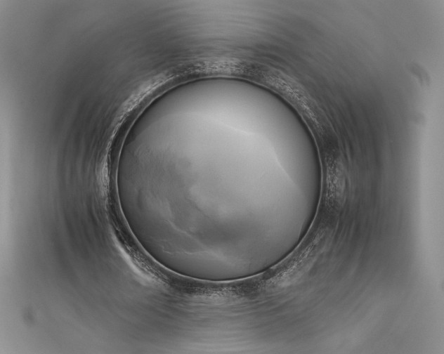 X0000111530674200907141529