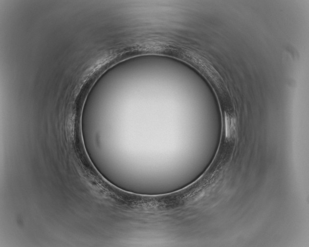 X0000111530675200907141529