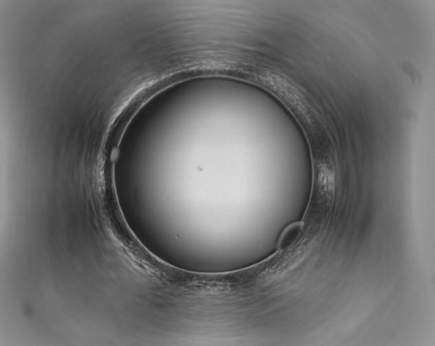 X0000111530676200907141529