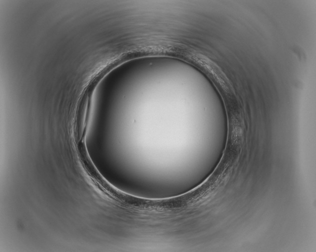 X0000111530677200907141529