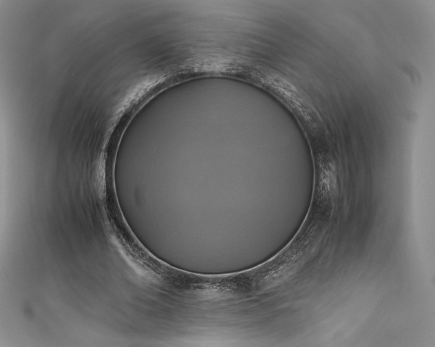 X0000111530678200907141528