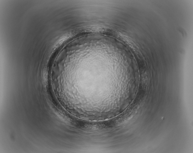 X0000111530679200907141528