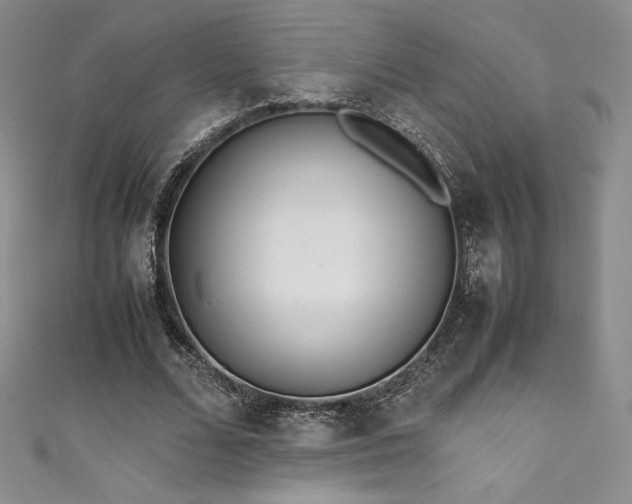 X0000111530680200907141528