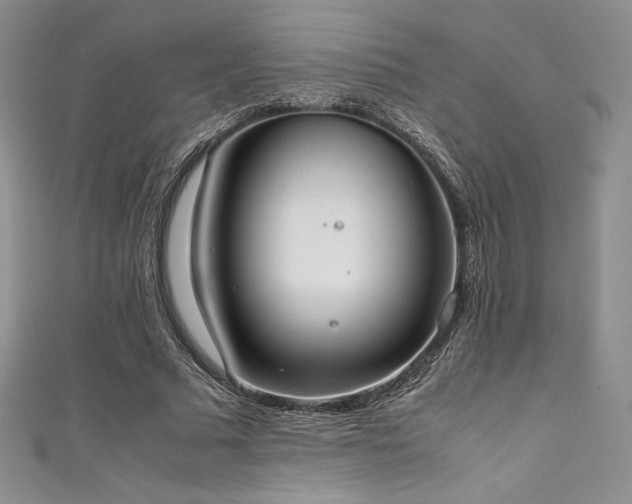 X0000111530681200907141528