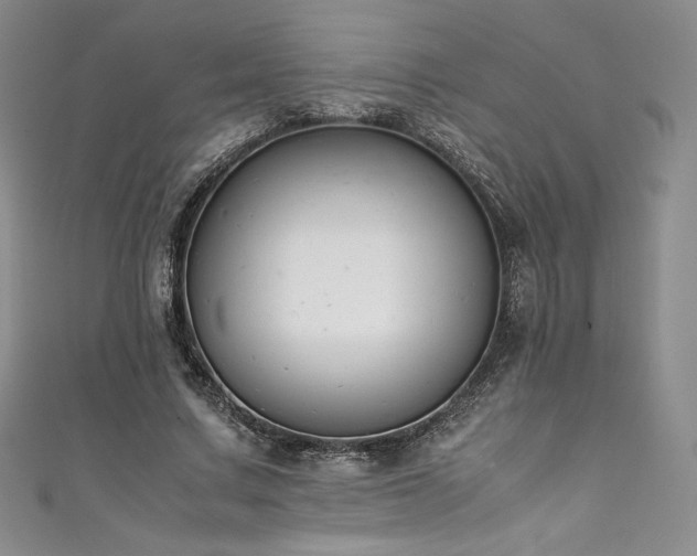 X0000111530683200907141528