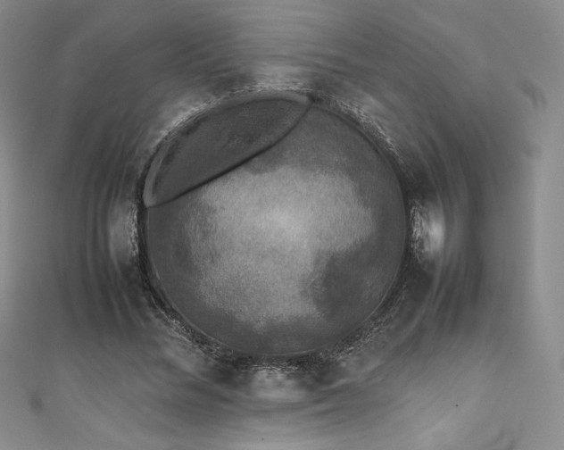 X0000111530684200907141528