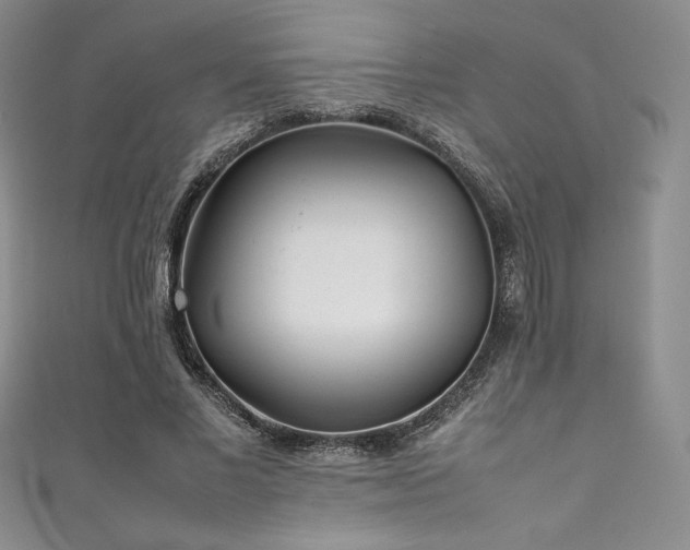 X0000111530685200907141528