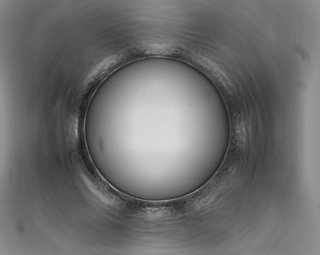 X0000111530686200907141528