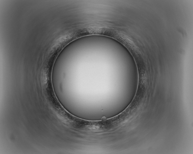 X0000111530687200907141528