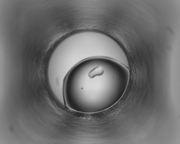 X0000111530688200907141528