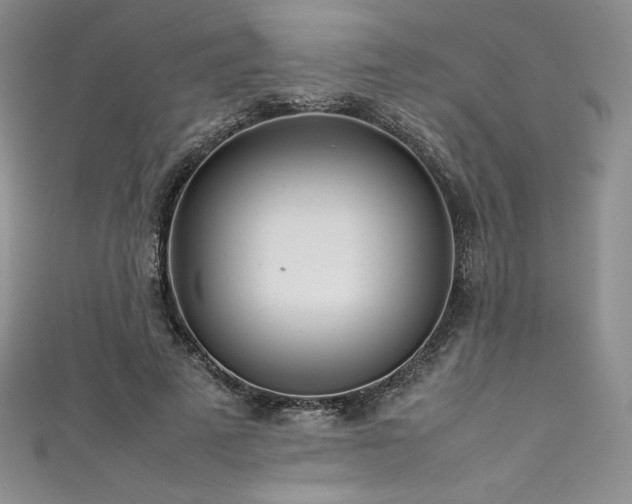 X0000111530689200907141528