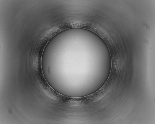 X0000111530690200907141528