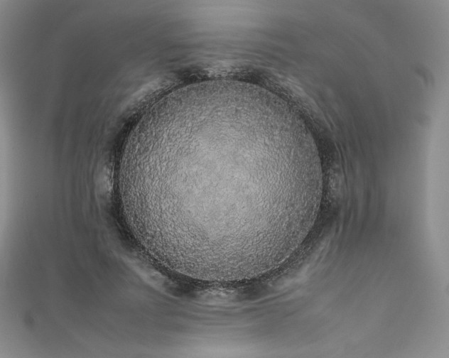 X0000111530691200907141528