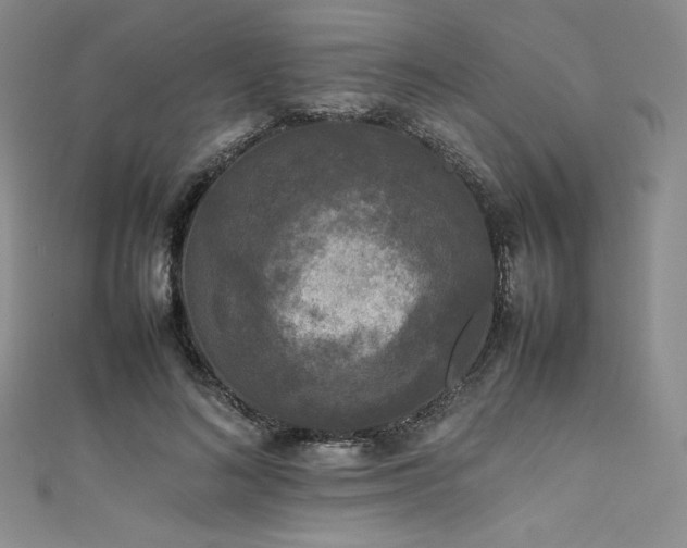 X0000111530692200907141528