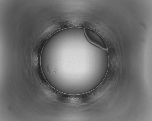 X0000111530693200907141528