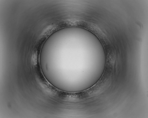 X0000111530694200907141528