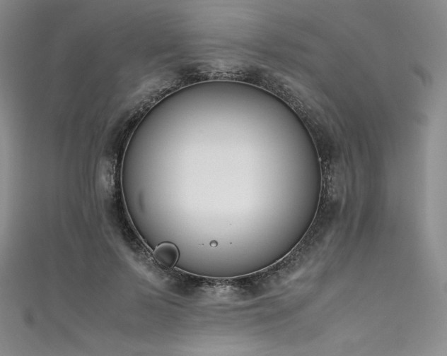 X0000111530695200907141528