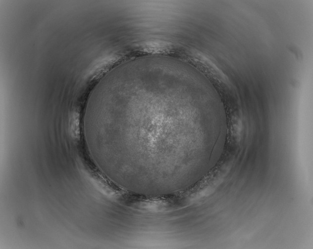 X0000111530696200907141528