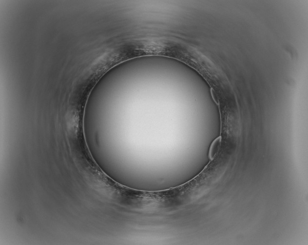 X0000111530697200907141528