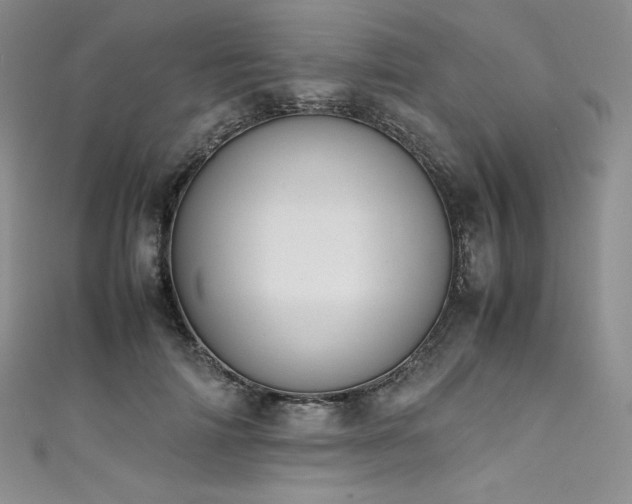 X0000111530698200907141528