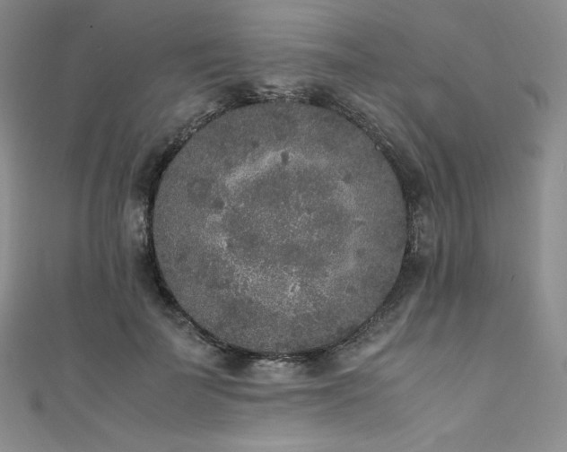 X0000111530699200907141528