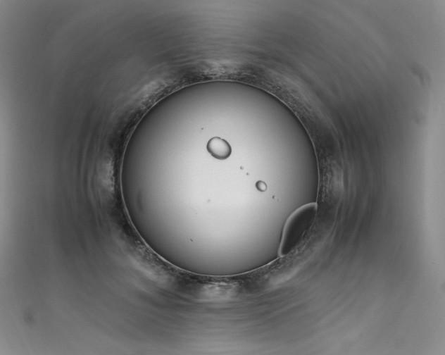 X0000111530700200907141528