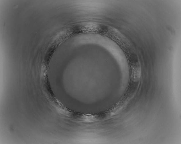 X0000111530701200907141528