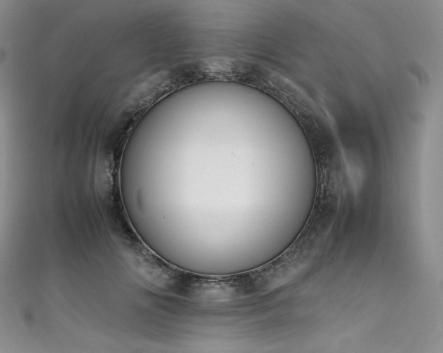 X0000111530702200907141528