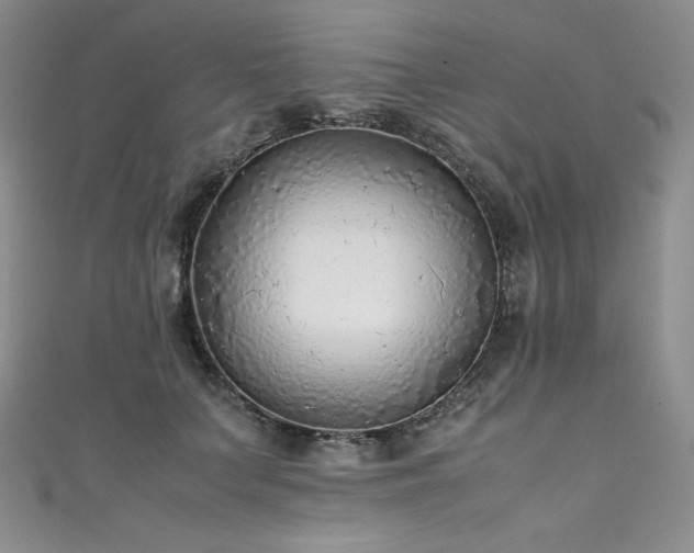 X0000111530703200907141528