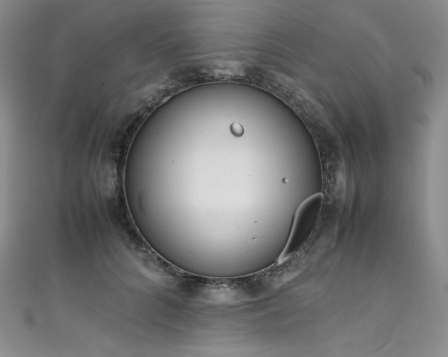 X0000111530704200907141528