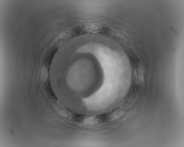 X0000111530705200907141528