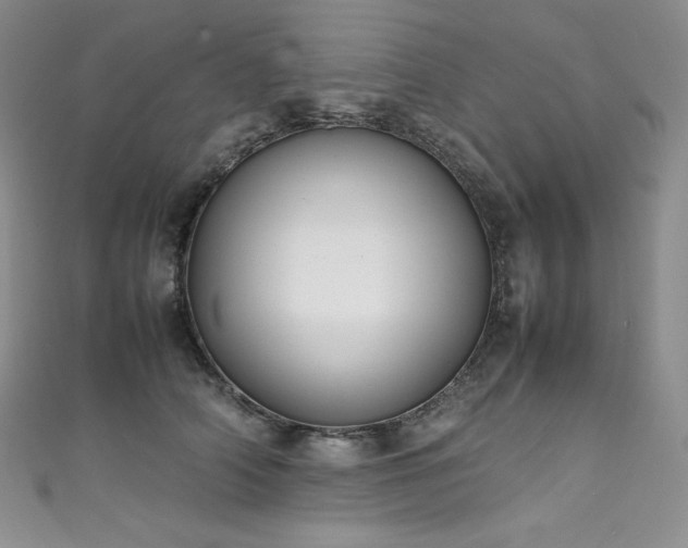 X0000111530706200907141528