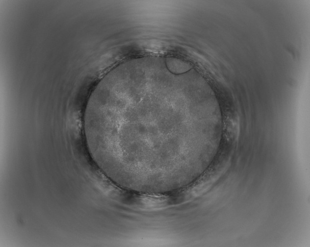 X0000111530707200907141528