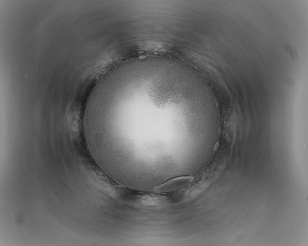 X0000111530708200907141528