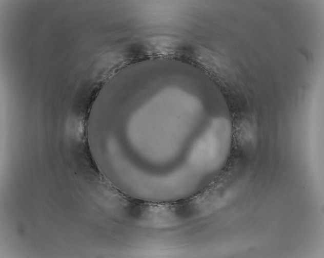 X0000111530709200907141528