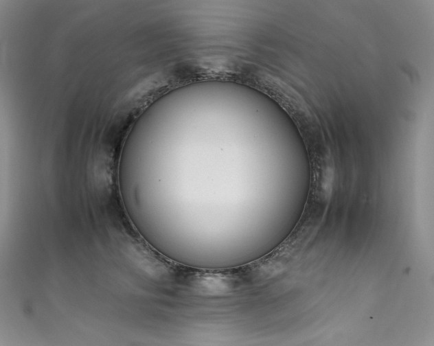 X0000111530710200907141528