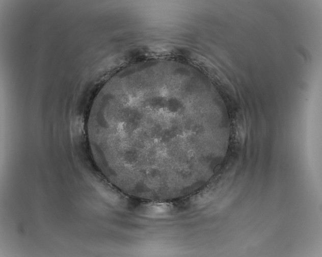 X0000111530711200907141528