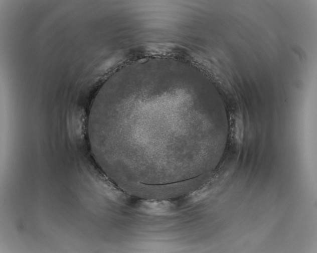 X0000111530712200907141528