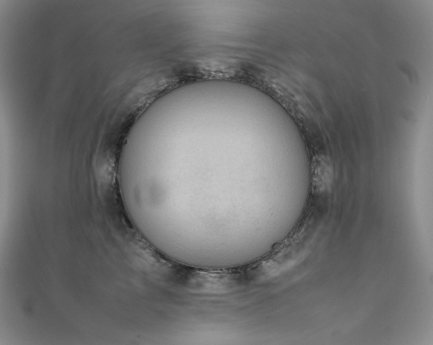 X0000111530713200907141528