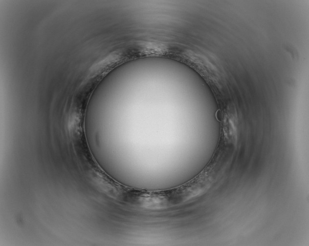 X0000111530714200907141528