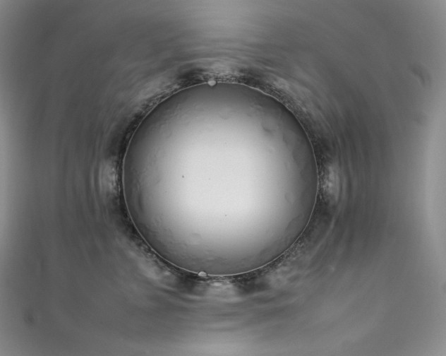 X0000111530715200907141528