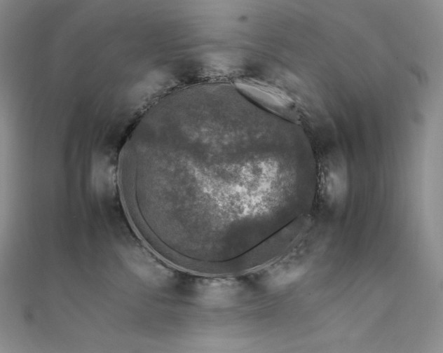 X0000111530716200907141528