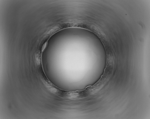 X0000111530719200907141528