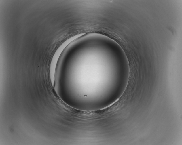 X0000111530720200907141528