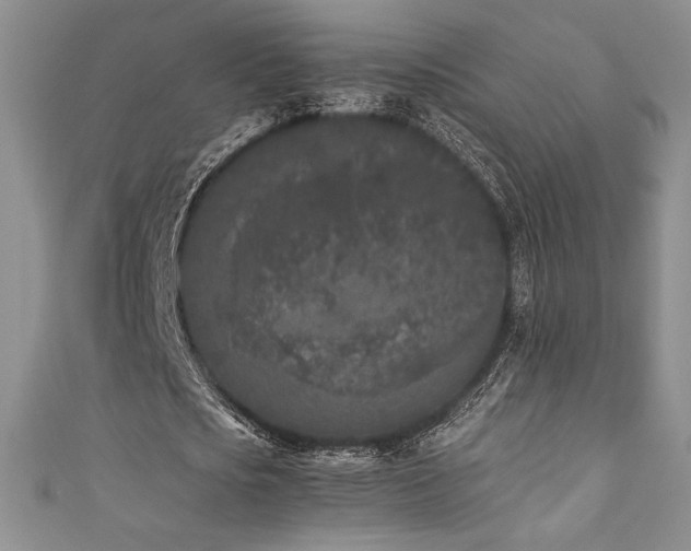 X0000111530721200907141527