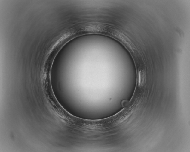 X0000111530723200907141527