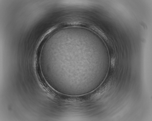 X0000111530724200907141527