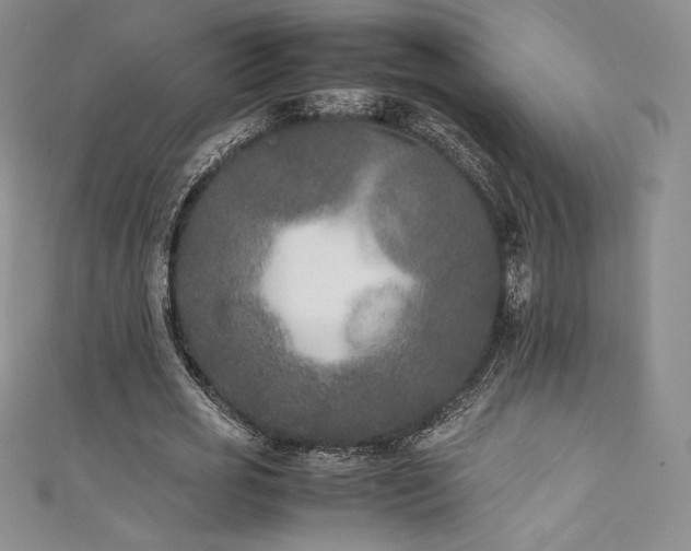 X0000111530725200907141527